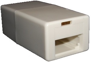 BT female to RJ45 female-BT end
