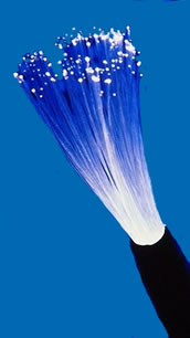Fibre Cable